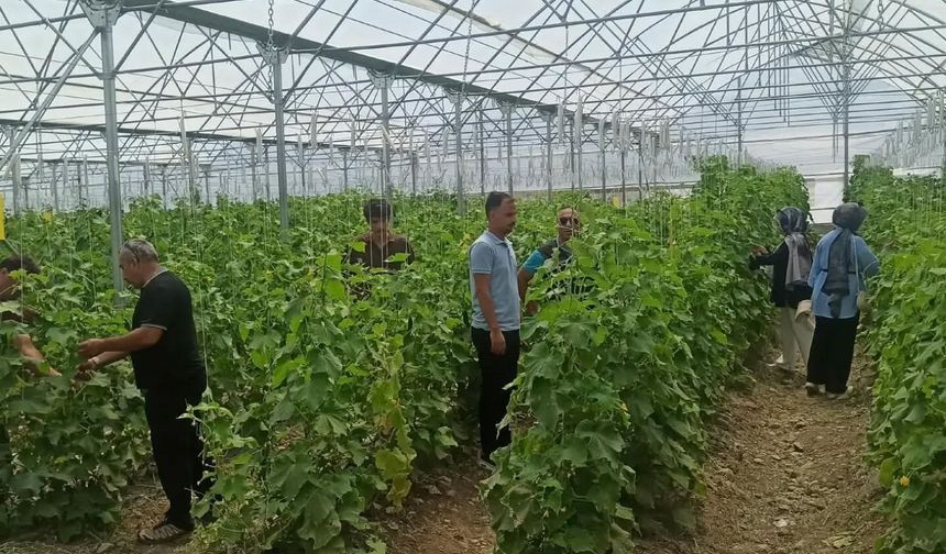 Öğrenciler Tarımsal AR-GE Çalışmalarına Katılıyor