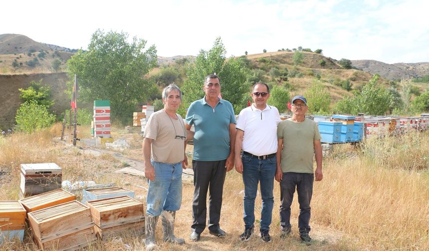 80 Kovanlık Arılıkta Dikkat Çeken Görüntü! Türk Bayraklarıyla Donattı
