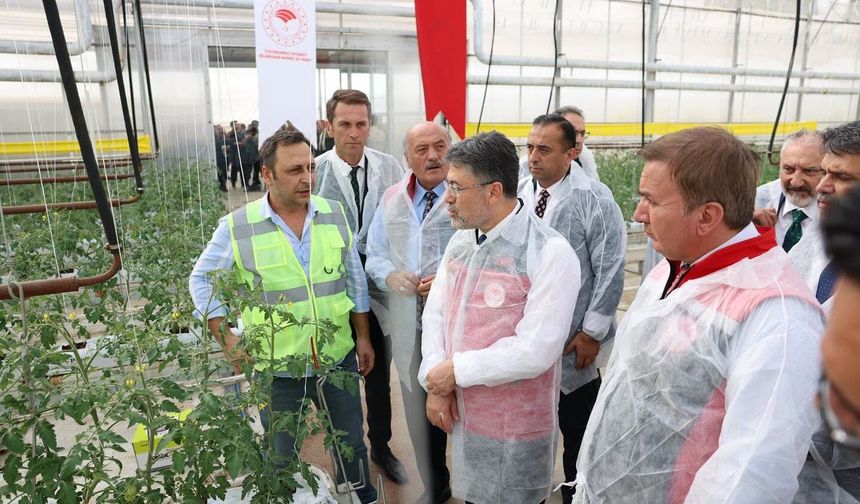 Bakan Yumaklı, Erzincan'daki jeotermal sera alanını inceledi