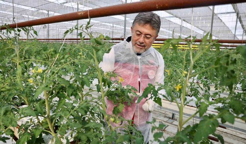 Bakan Yumaklı'dan Erzincan'da jeotermal sera mesajı