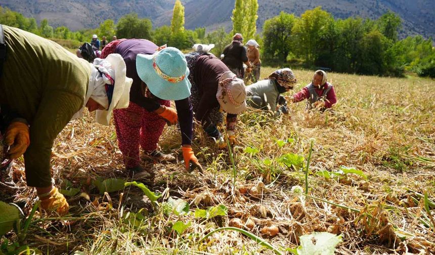 Erzincan'a 169,6 milyon liralık tarımsal hibe desteği
