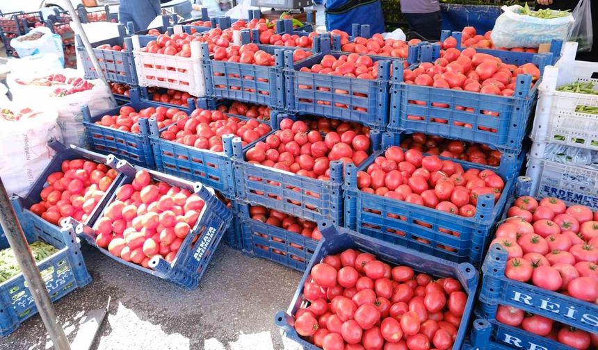 Erzincan'da salçalık domates ve biberler tezgahlarda