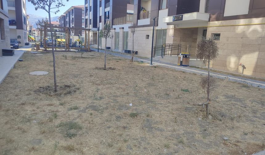 Kızılay TOKİ'de Çimler Kurudu, Bahçeler Bakımsız Kaldı
