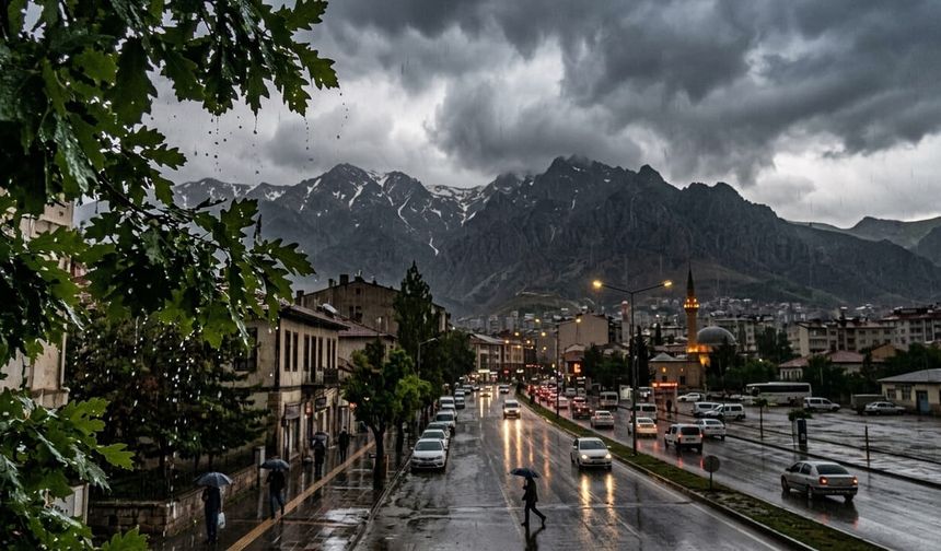 Bugün Erzincan'ı Gökgürültülü Sağanak Bekliyor