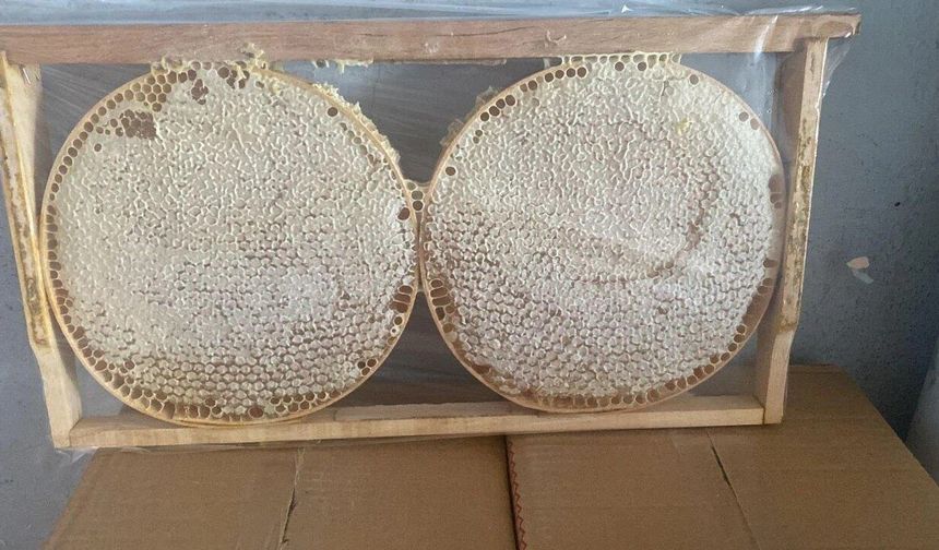 Erzincan'ın Tescilli Şifası: Tercan Balı Nedir, Sahtesi Nasıl Anlaşılır?