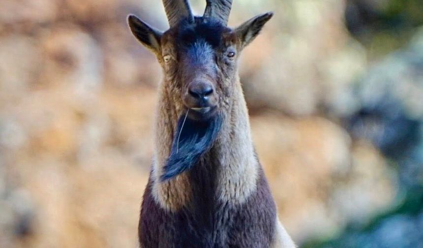 Tunceli'de yasak. Peki Erzincan ne durumda