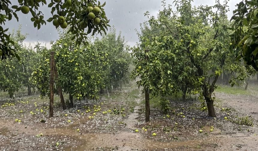 Aniden Bastıran Dolu Yağışı Erzincan'ın Meyve Bahçelerini Vurdu