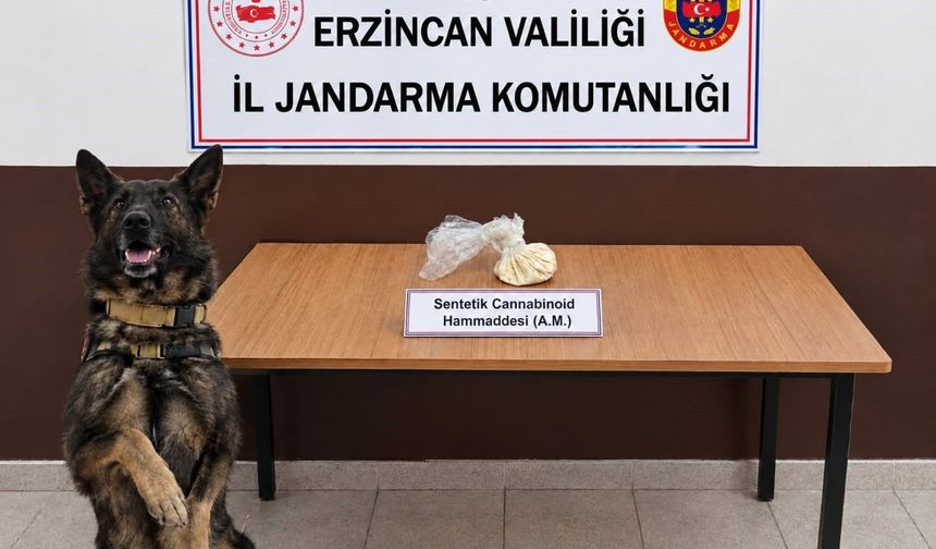 Erzincan'da bonzai hammaddesi ve skunk ele geçirildi