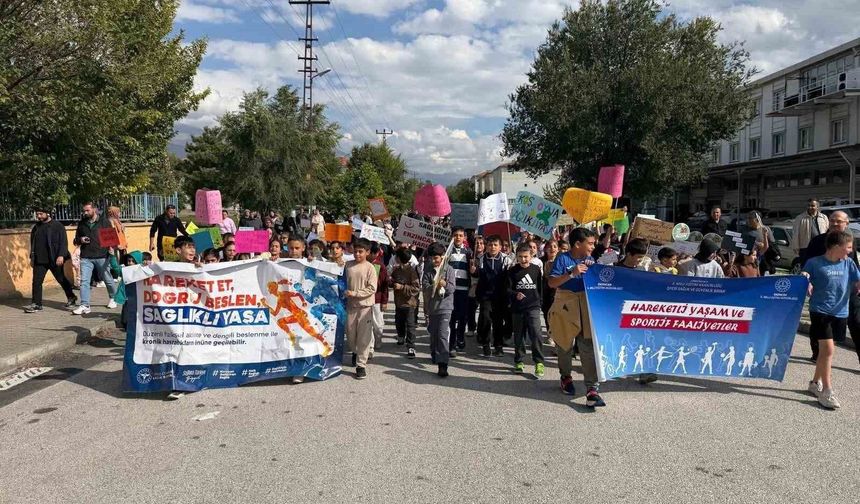 Erzincan'da Dünya Yürüyüş Günü etkinliği düzenlendi