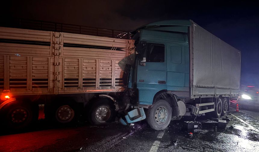 Erzincan-Erzurum Karayolu'nda Tır ile Kamyon Çarpıştı: 2 Yaralı (VİDEO)