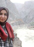 Ayşe Nur İSPİR