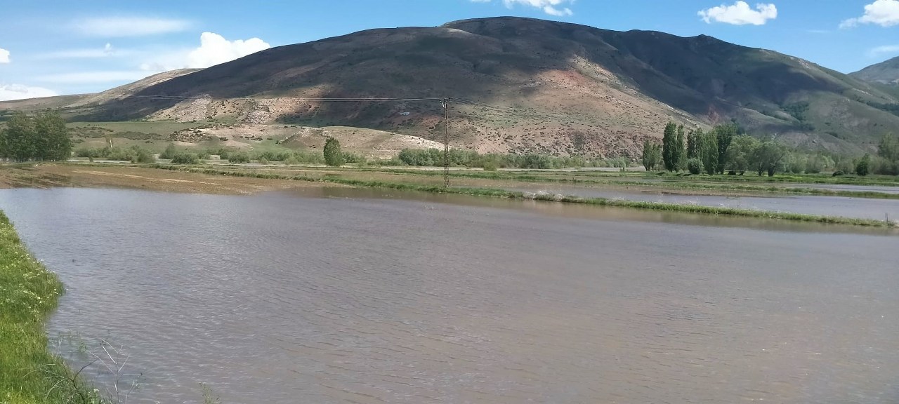 Karasu Nehri taştı, ekili tarlalar sular altında kaldı (2)_1280x576