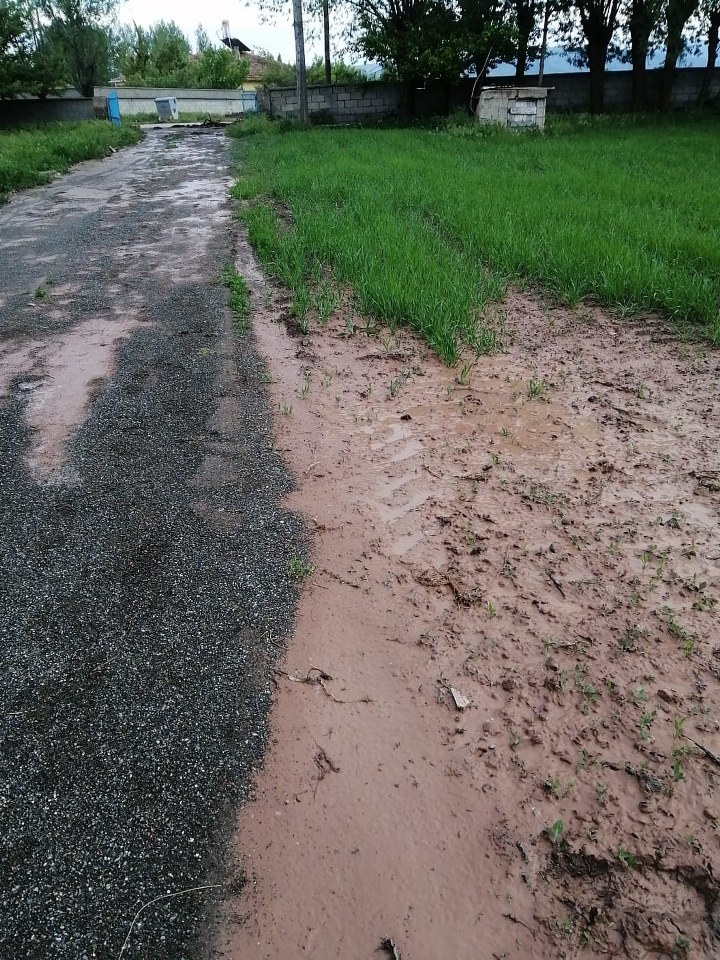 Tercan'da sağanak sele neden oldu, tarım arazileri su altında kaldı 1_720x960