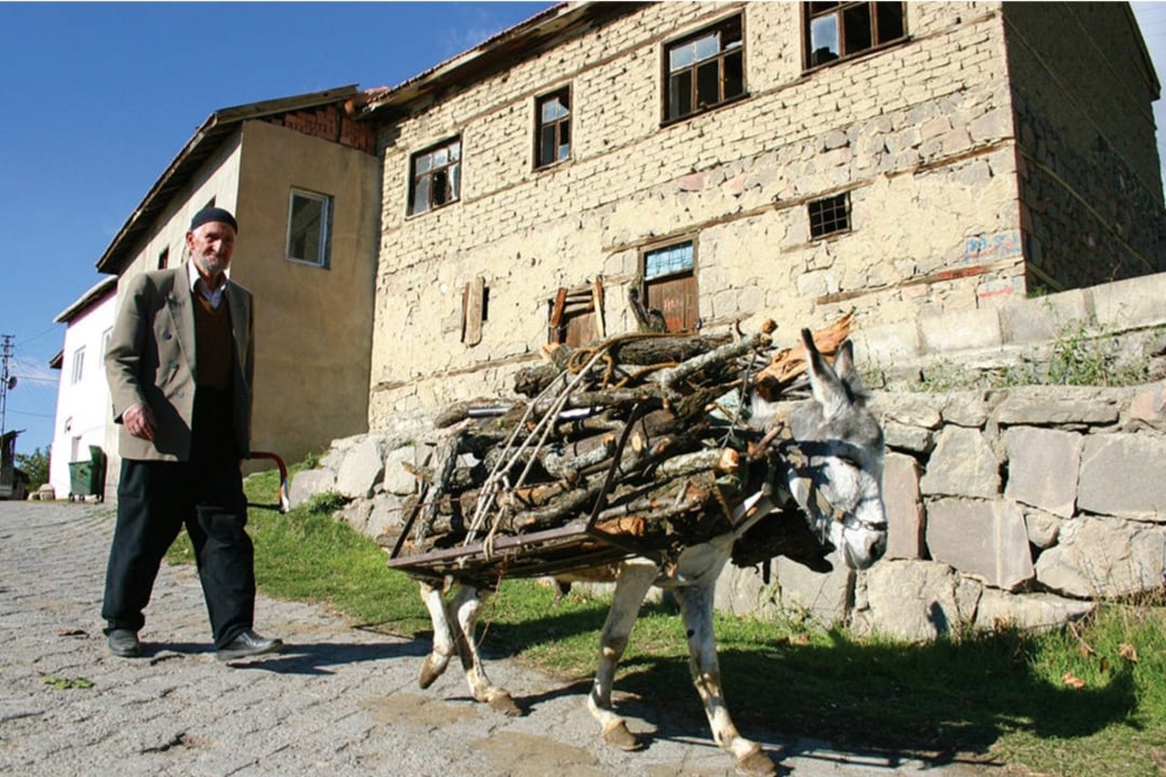 ÜZÜMLÜ (6)_1280x853