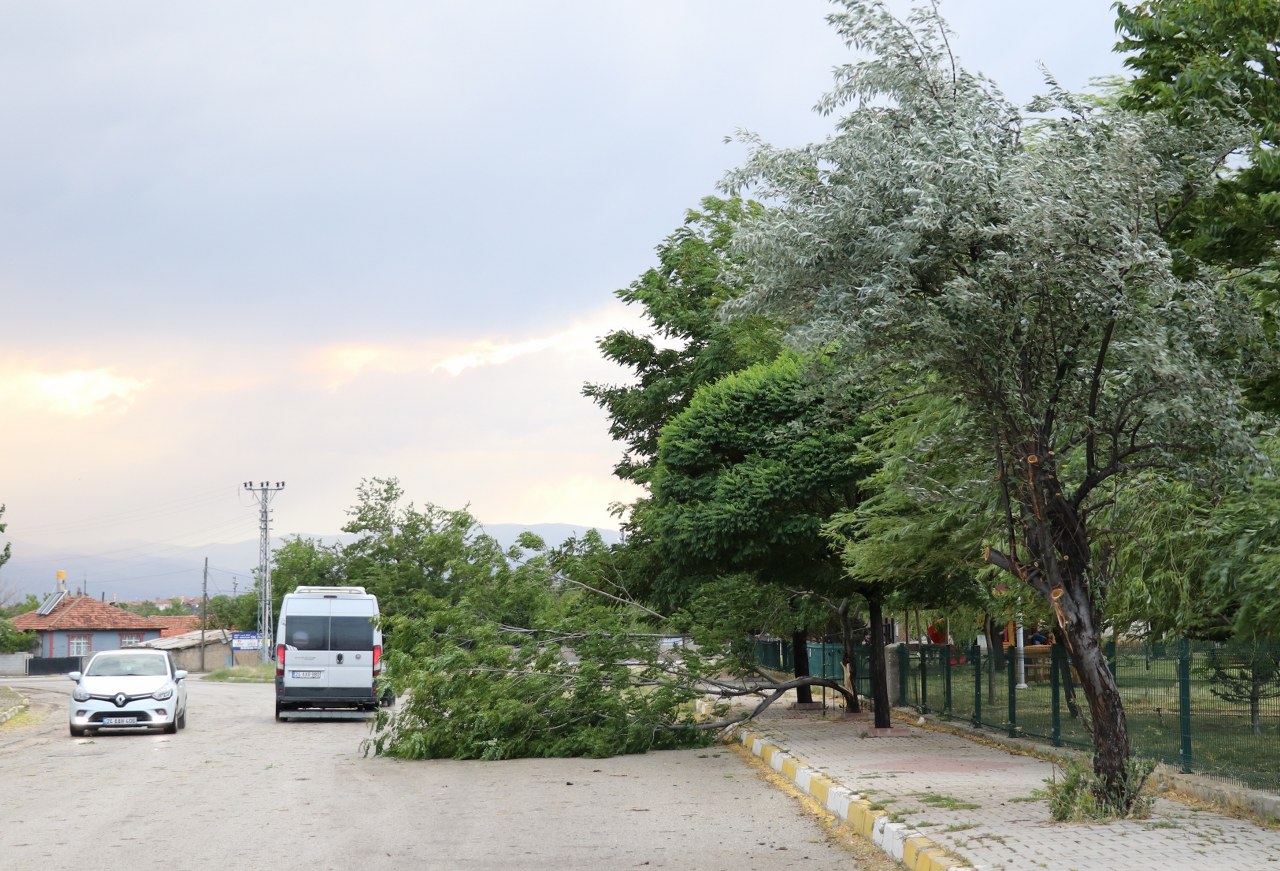 Erzincan'da fırtına çatıları uçurdu, ağaç dallarını kırdı (2)_1280x871