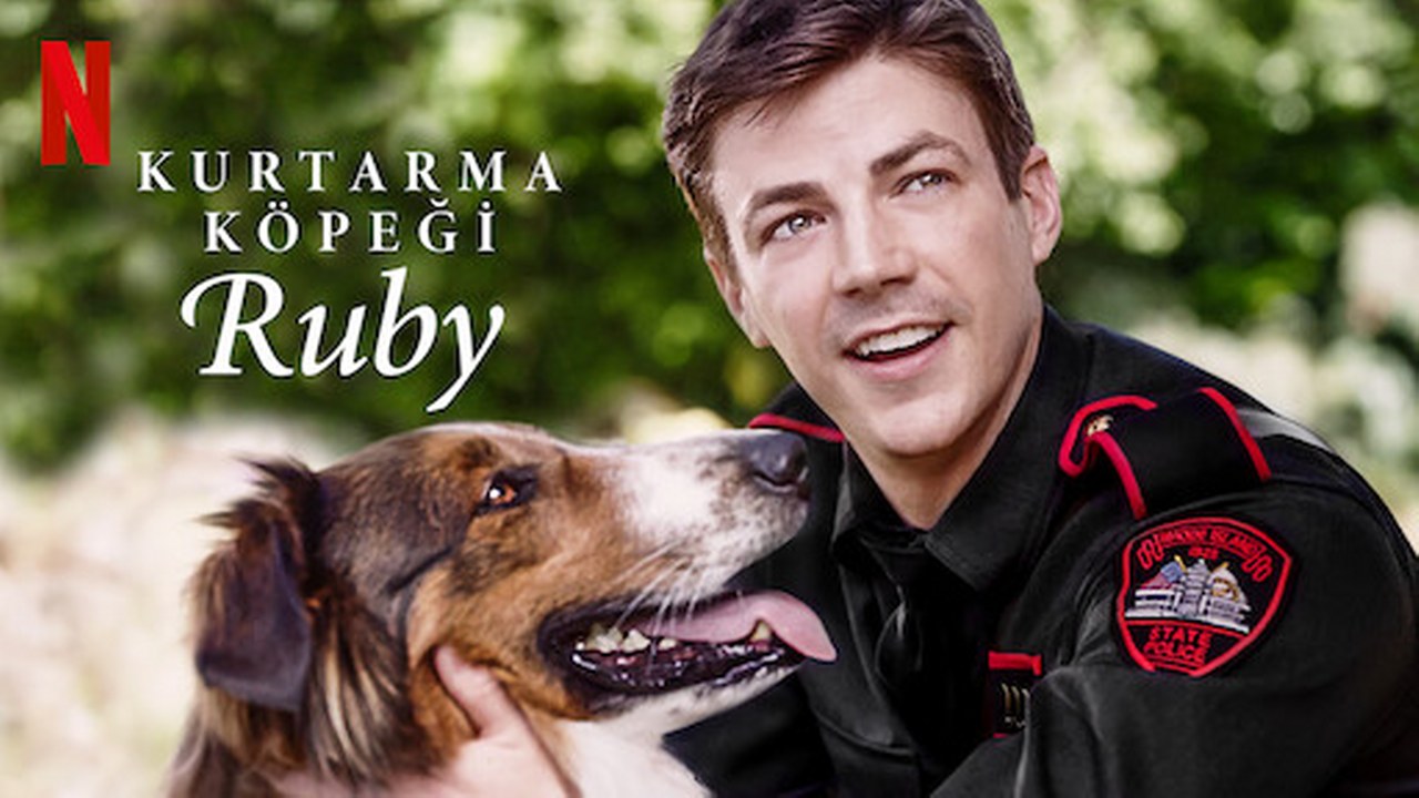 Kurtarma Köpeği Ruby_1280x720