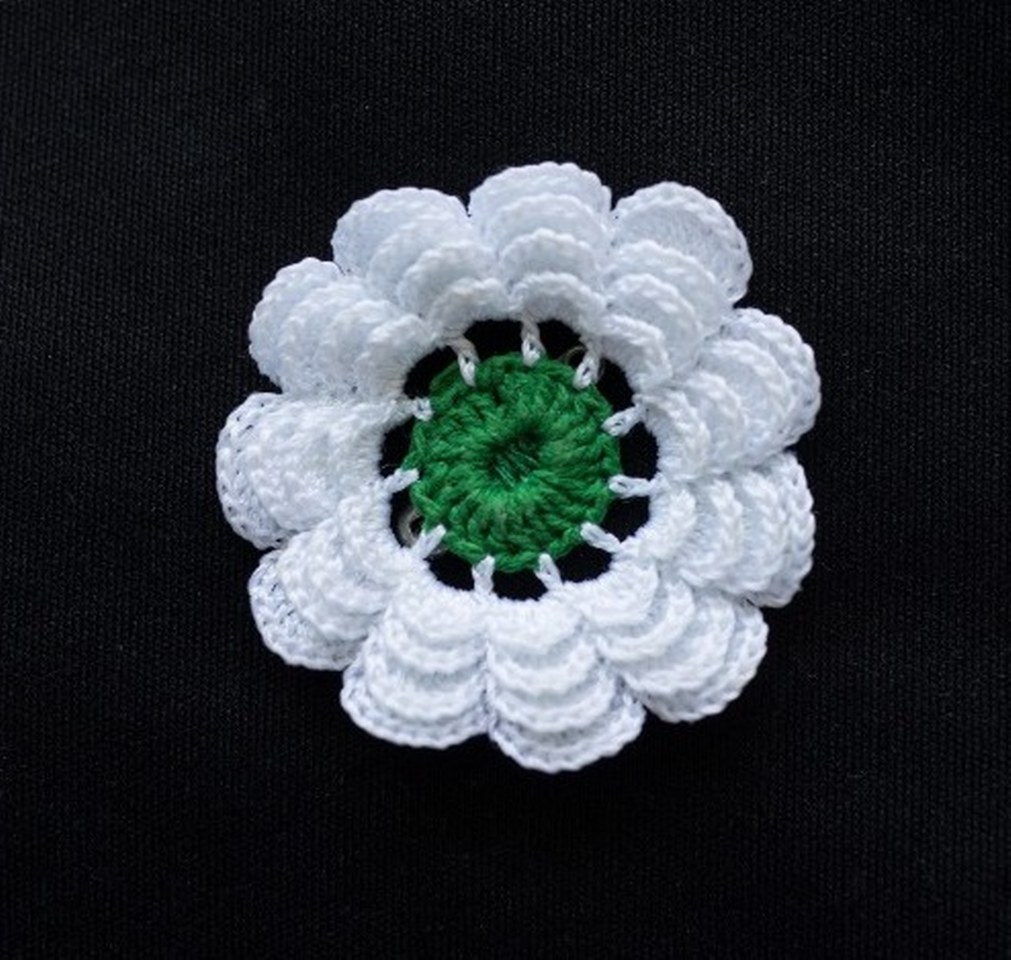 Srebrenitsa çiçeği_1011x960