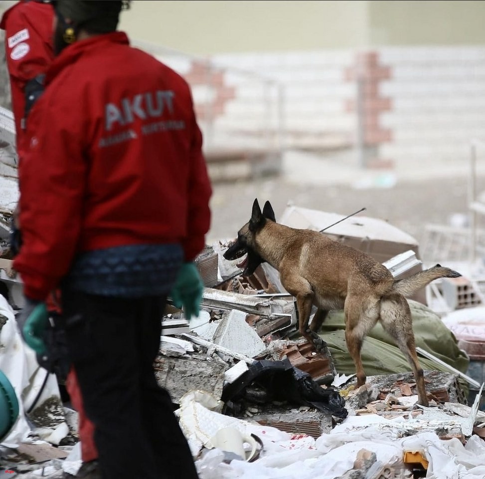 AKUT arama köpeklerini onlar besleyeceki (2)_973x960