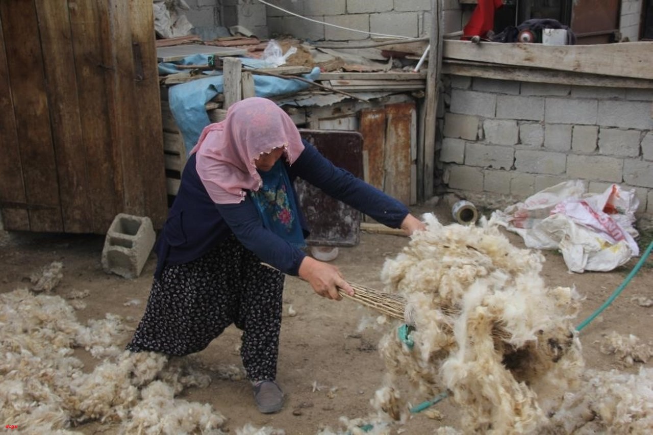 Yün yerine kimyasal içerikli ürünleri tercihimizden kırkım yünleri çöpe gidiyor (1)_1280x853