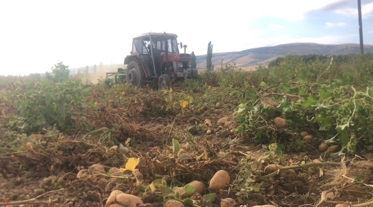 Erzincan’da patates hasadı başladı (2)_1280x712