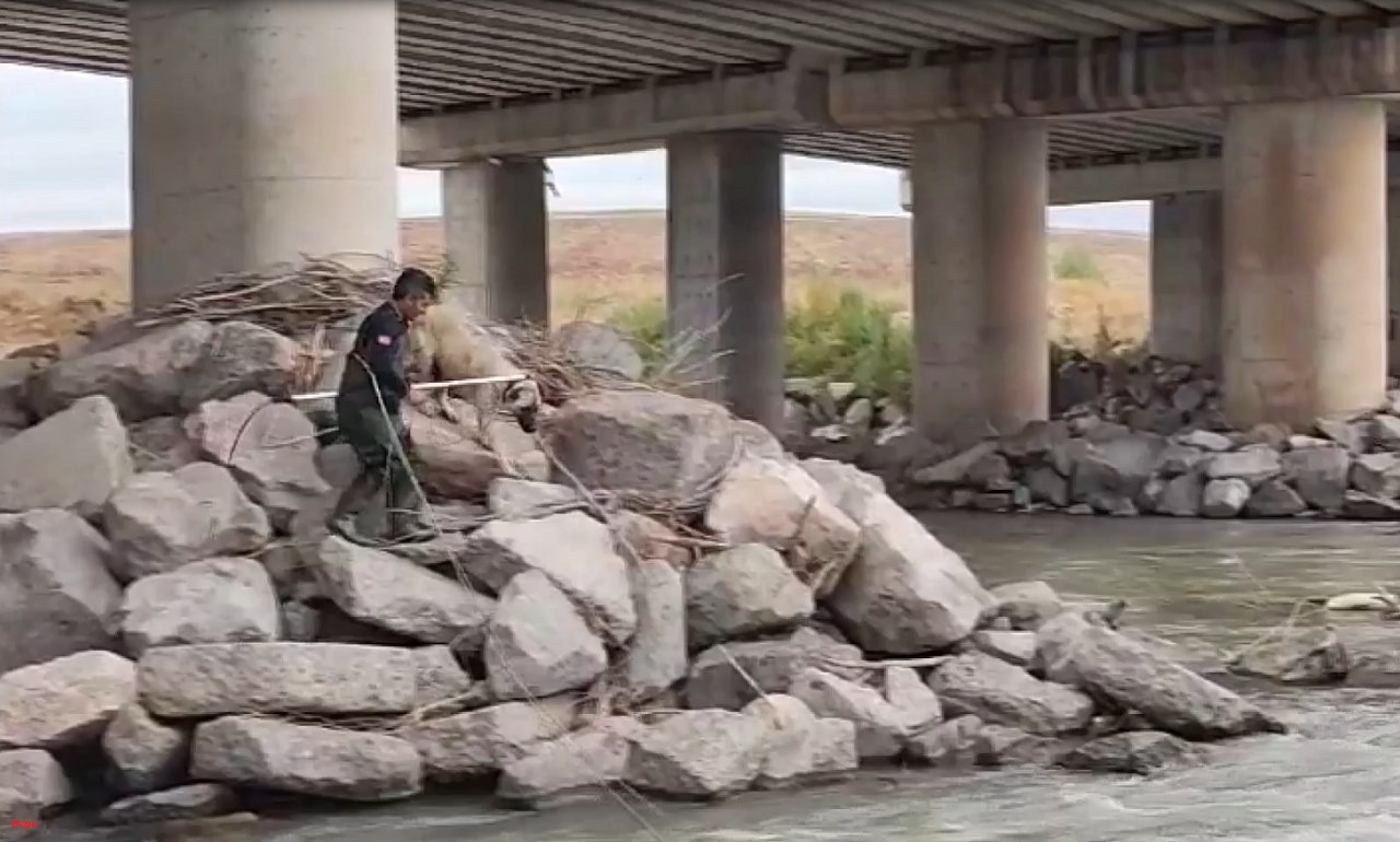 Erzincan'da köprü ayağında mahsur kalan köpeği AFAD ekipleri kurtardı_1280x770
