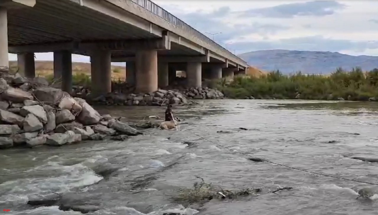 Erzincan'da köprü ayağında mahsur kalan köpeği AFAD ekipleri kurtardı1_1280x730