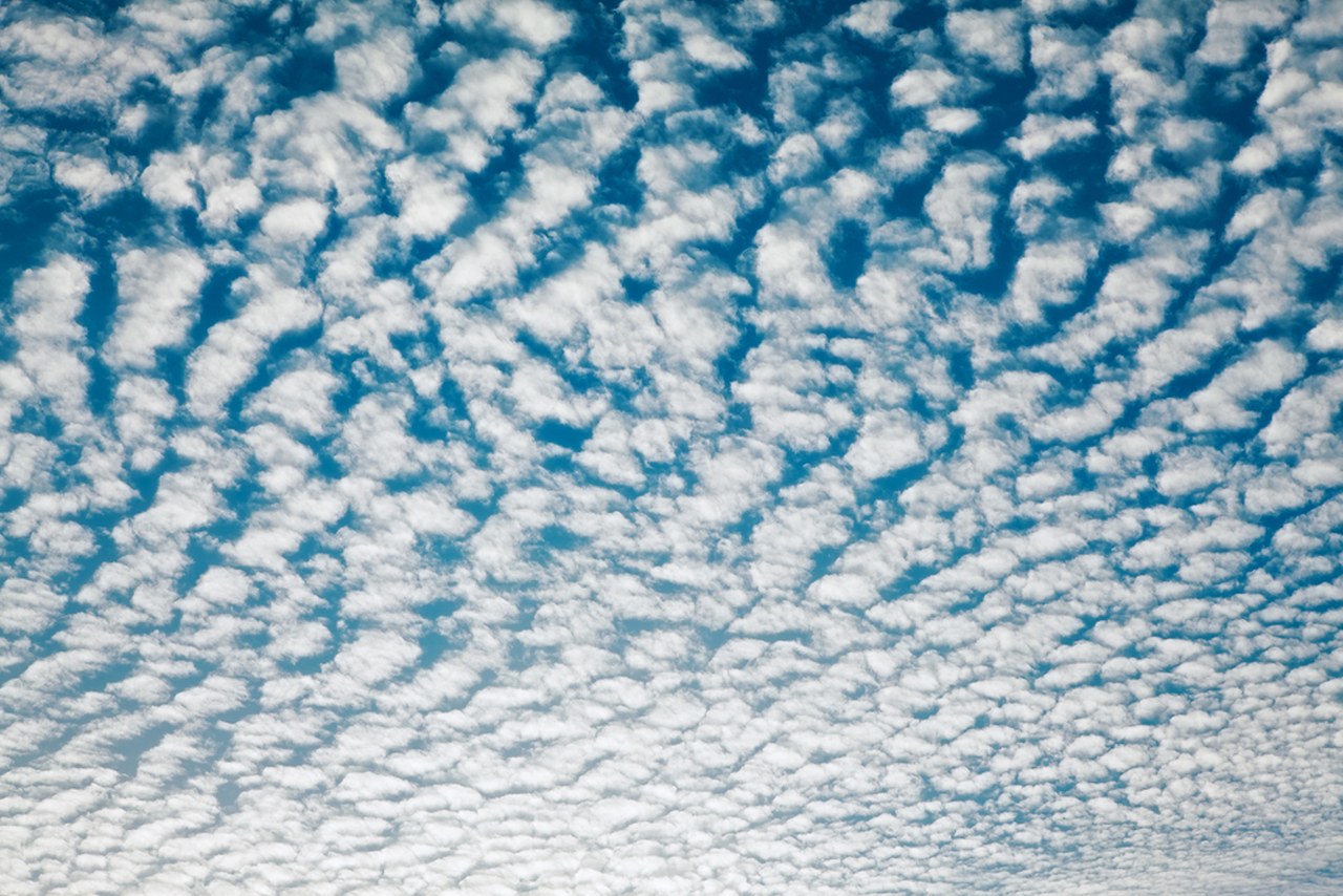 Altocumulus 2_1280x854