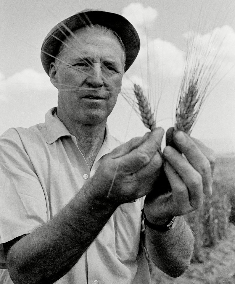 Norman Borlaug jpeg_794x960