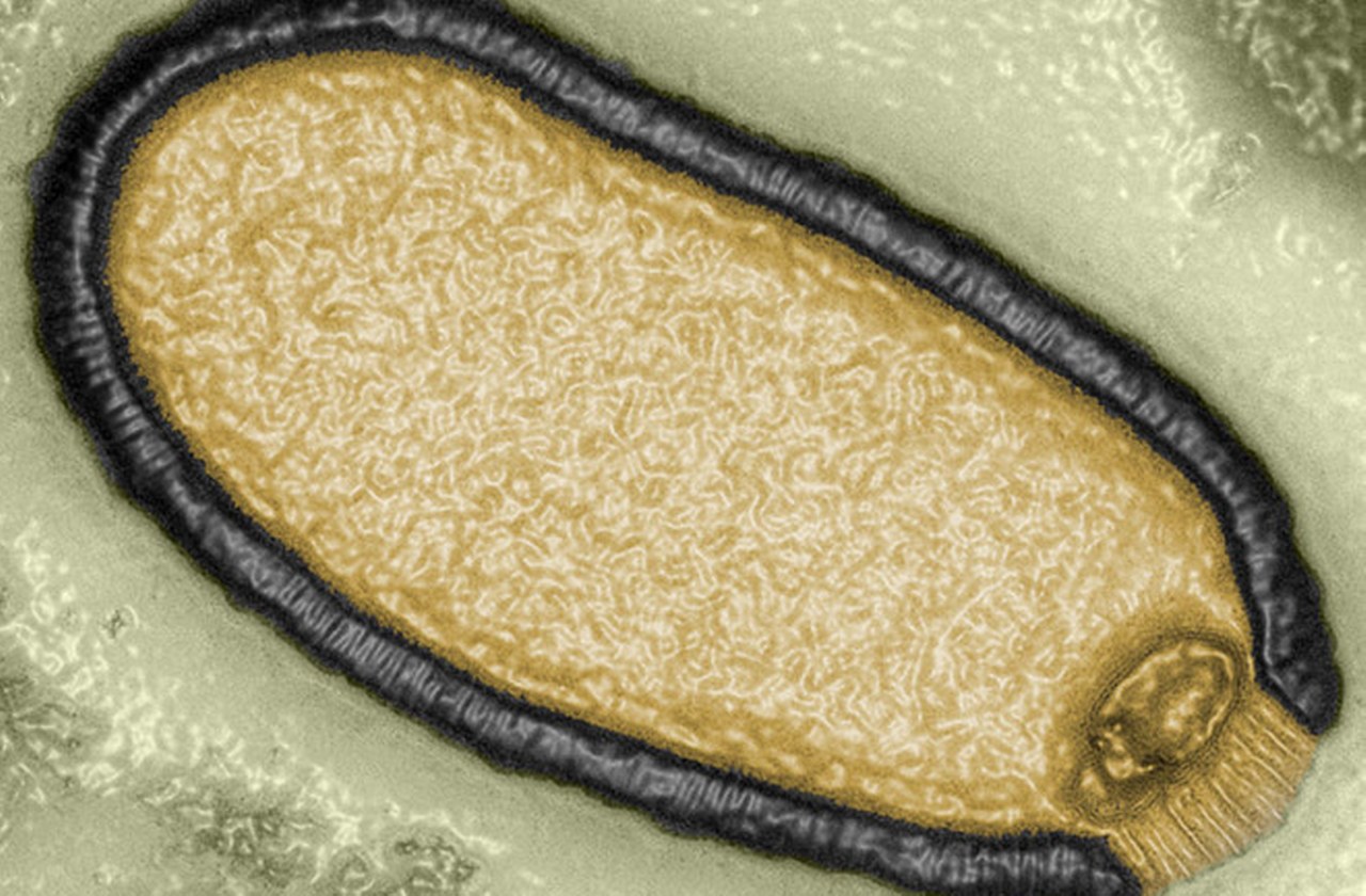 Мутанты двадцать третий век фильм. Корейский сериал про зомби 2022. Зомби вирус в сша 2023. Сериал про зомби нетфликс 2022. Зомби вирус в сша 2023.