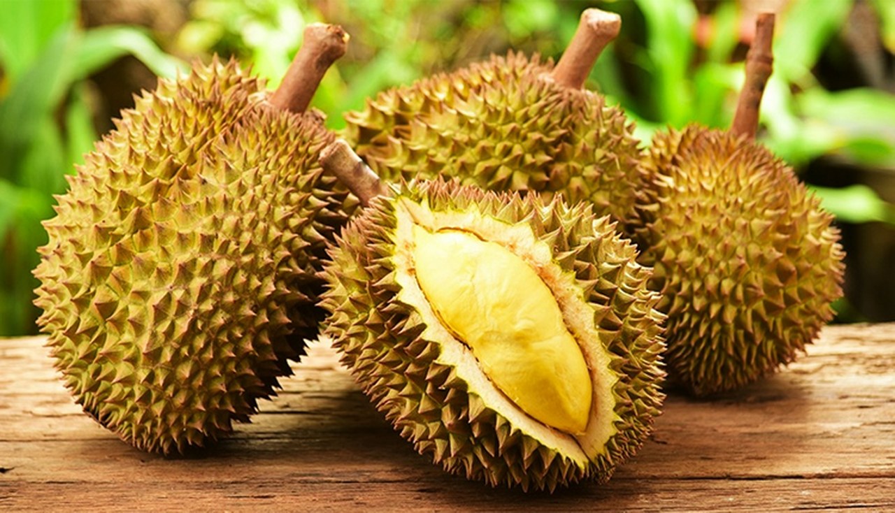 Durian (Duryan) Meyvesi 1280X734