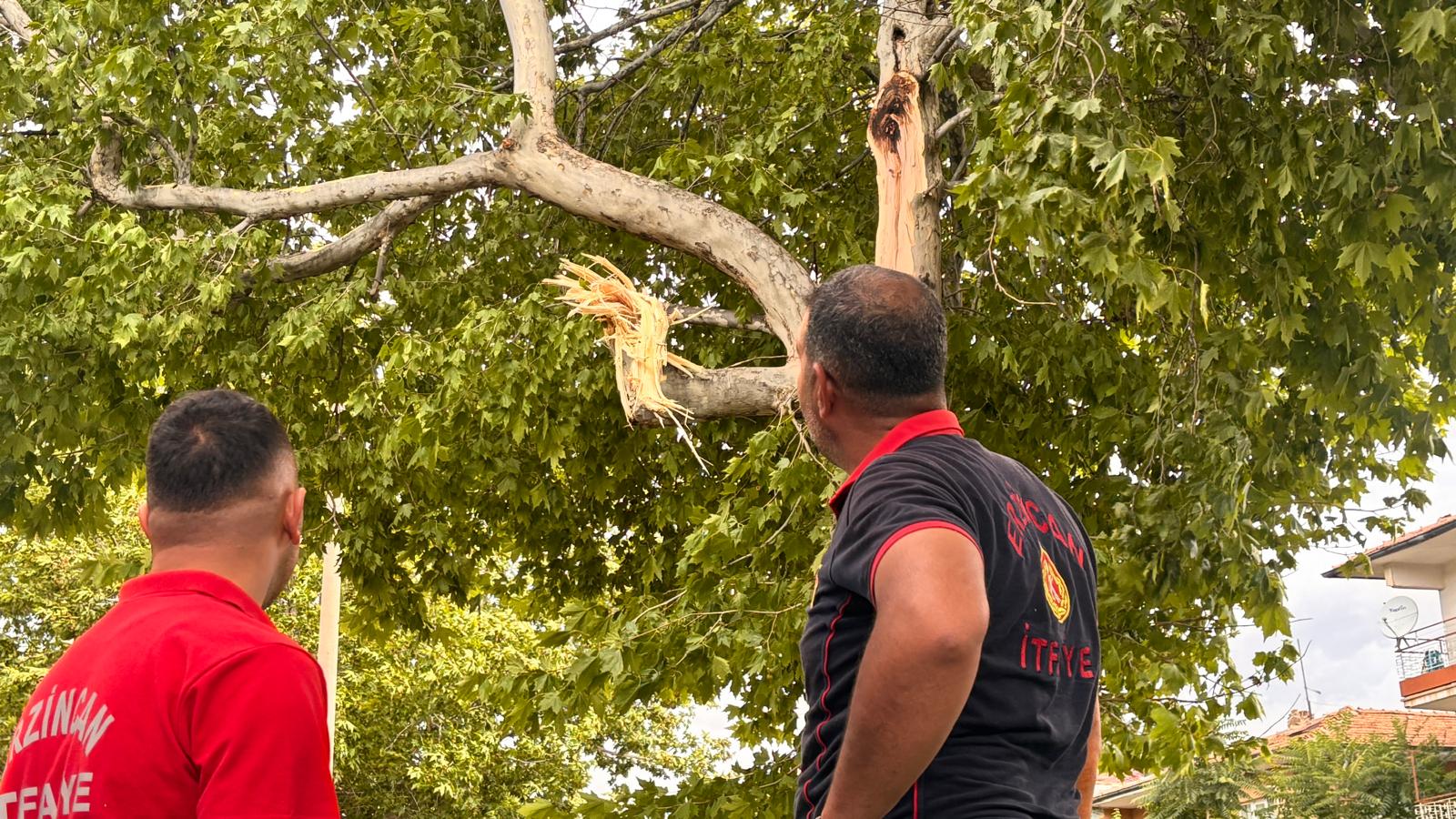 Erzincan'da Fırtına Ağaç Devirdi (1)