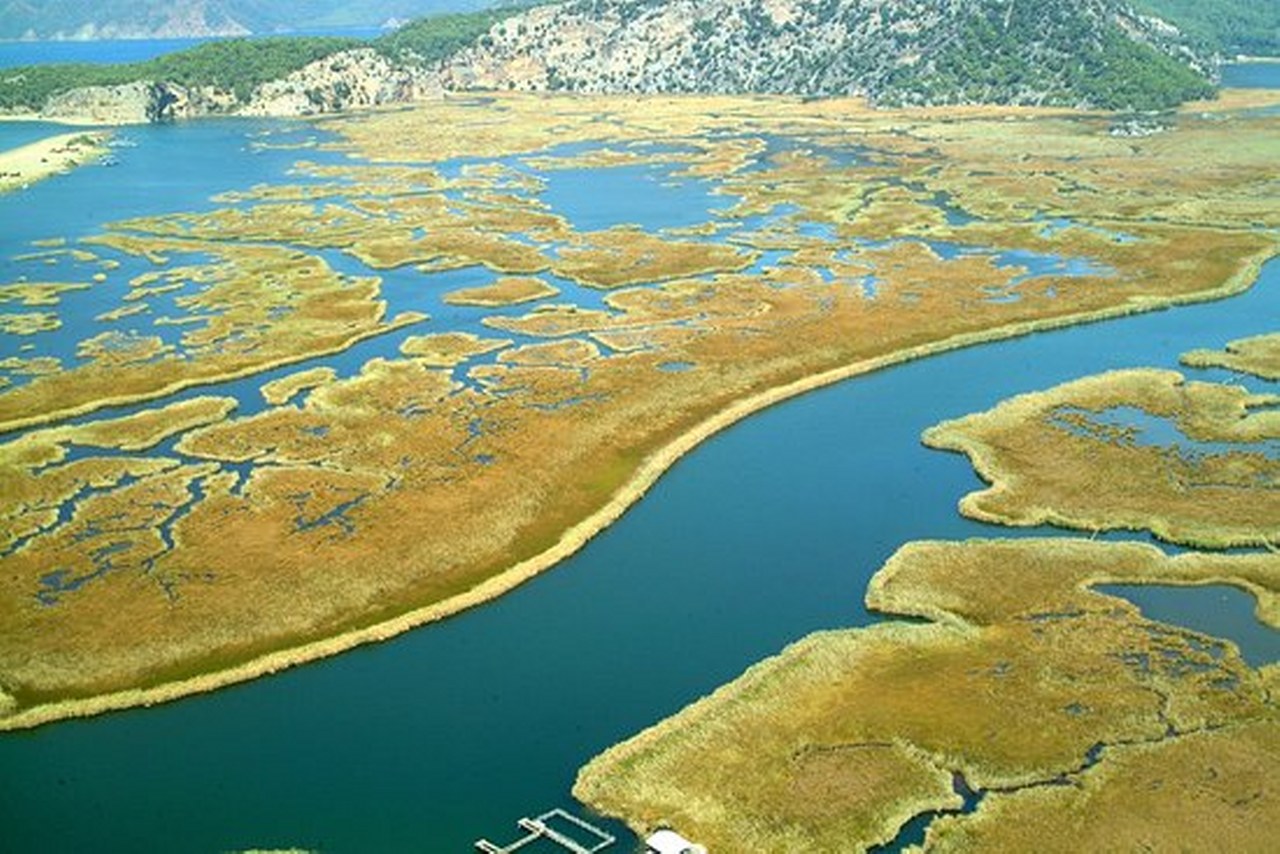 Dalyan Deltası – Muğla. 1280X854