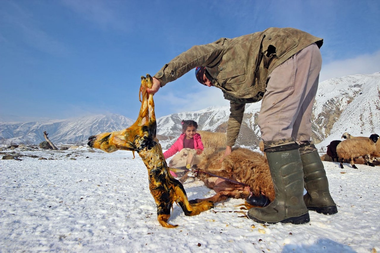 Yayla Hayatı (4)