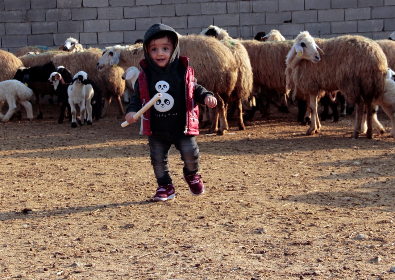 Yayla Hayatı (6)