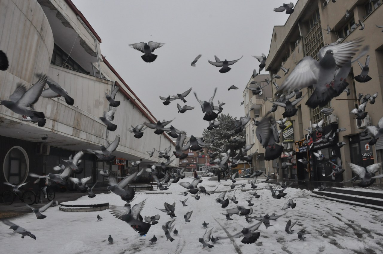 Erzincan'da Mevsimin İkinci Karı