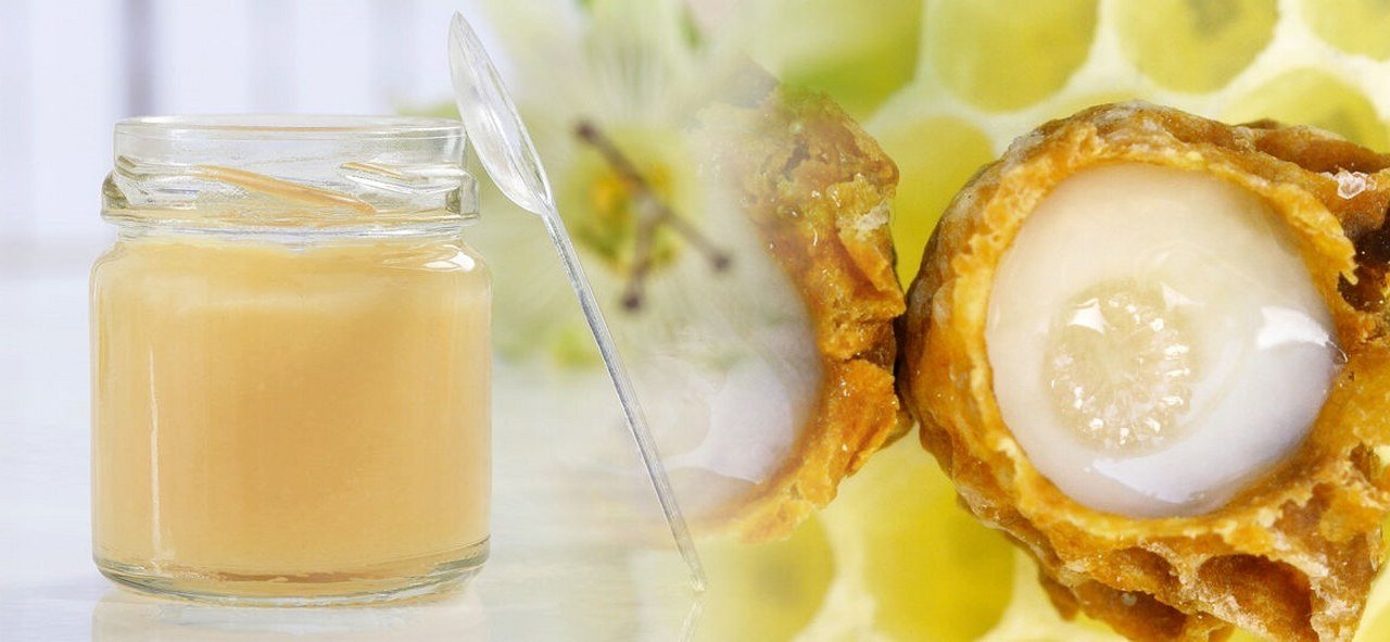 Arı Sütü Ve Sağlığa Faydaları 1280X591