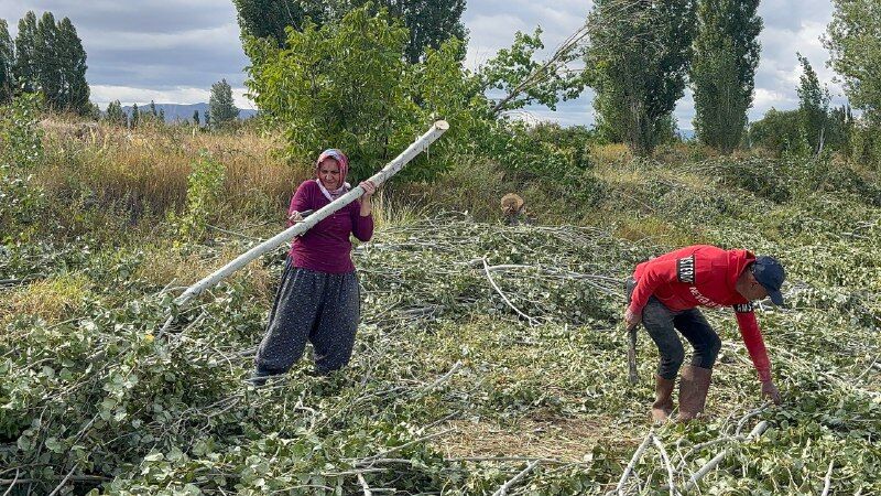 Erzincan’da Kış Mesaisi Başladı: Köylüler Odun Peşinde, Gözler Doğalgazda (VİDEO)