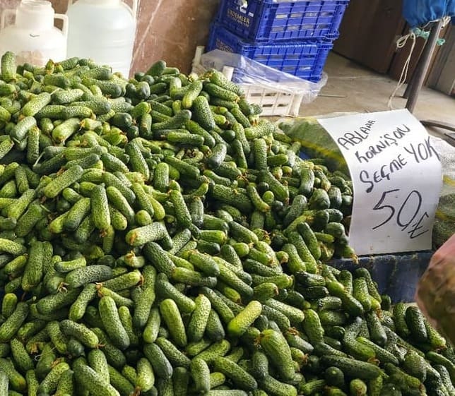 Kornişon Seçmek Yok