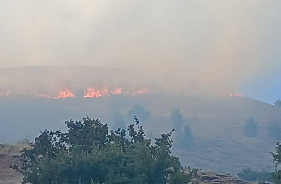 Refahiye'de Çıkan Arazi Yangını, onlarca dönüm alanı küle çevirdi (VİDEO)