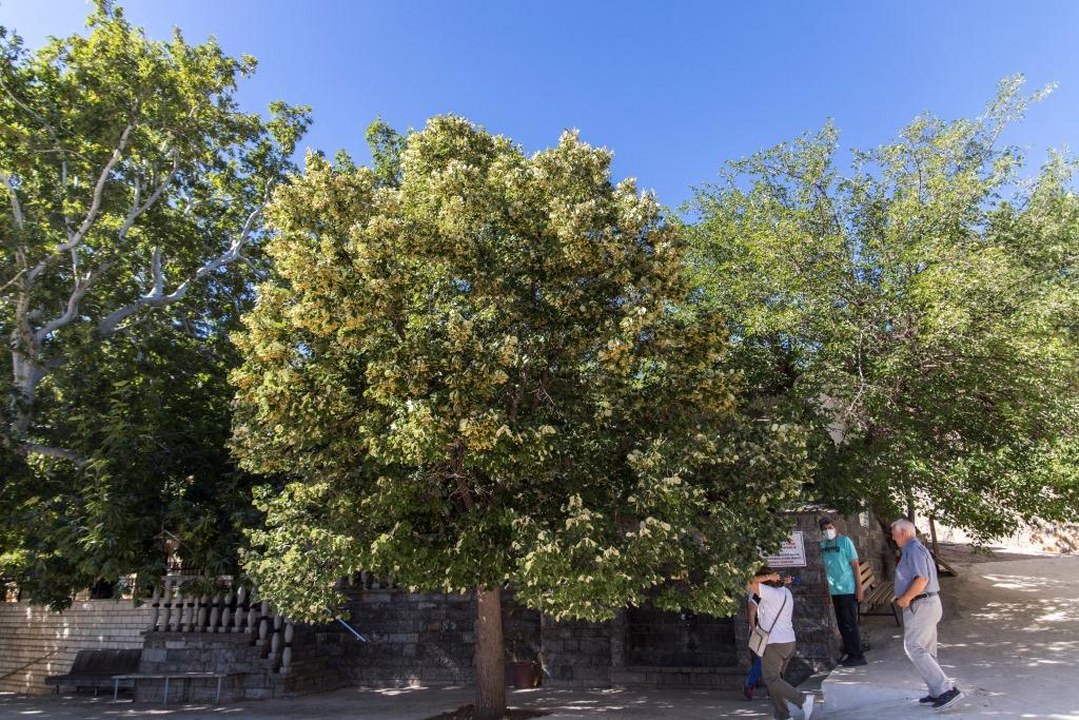 Ocak Köyü’nün Efsanesi Hıdır Abdal Sultan’ın 700 Yıllık Mirası (2) 1079X720