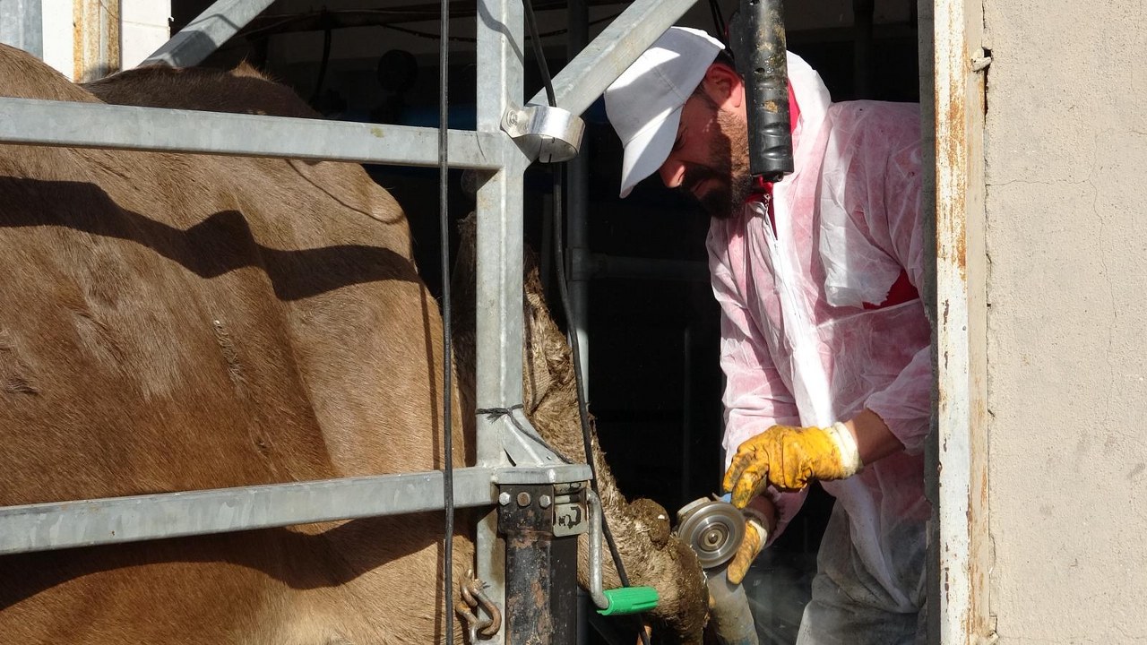 Erzincan’da Hayvancılığa Sahada Dokunuş Birlik Ekipleri İlçe İlçe Hizmette (2) 1280X720
