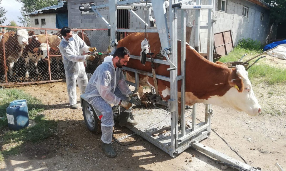 Erzincan Dsyb 2 1201X720