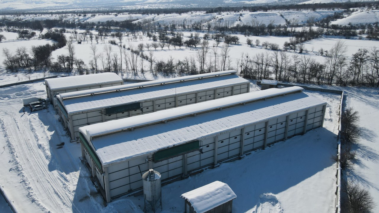 Erzincan’dan Bölgeye Ab Standartlarında Yumurtaa 1280X720