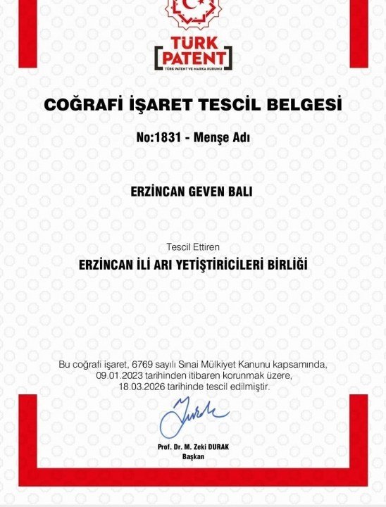 Geven Balı Batent 548X720