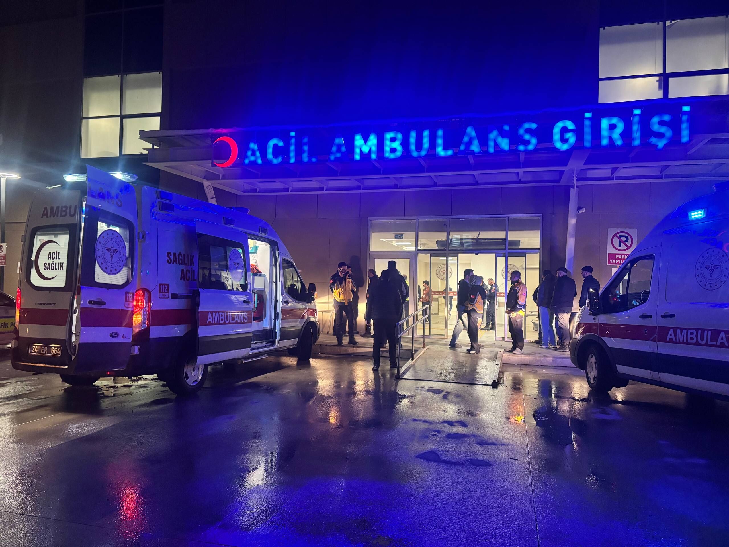 Erzincan'da Ayı Saldırısı: Tercan'da Yaralanan Vatandaş Ameliyata Alındı