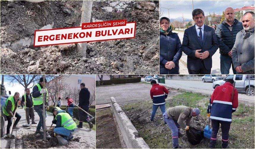 Ergenekon Bulvarı’nda Ağaç Dikme Çalışması