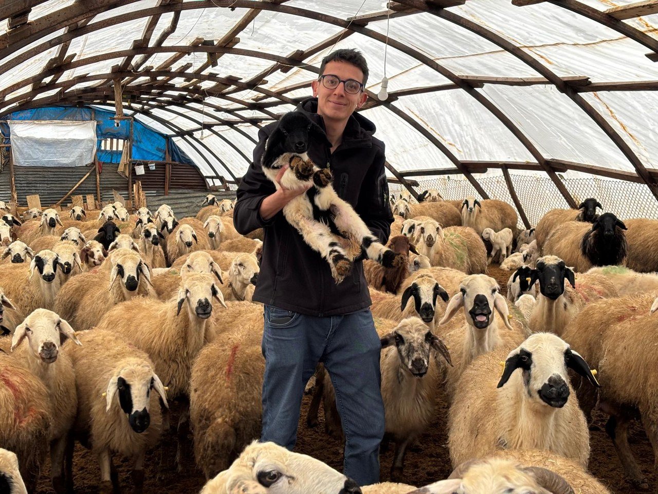 Erzincan’da Hayvancılığa Büyük Destek Başladı