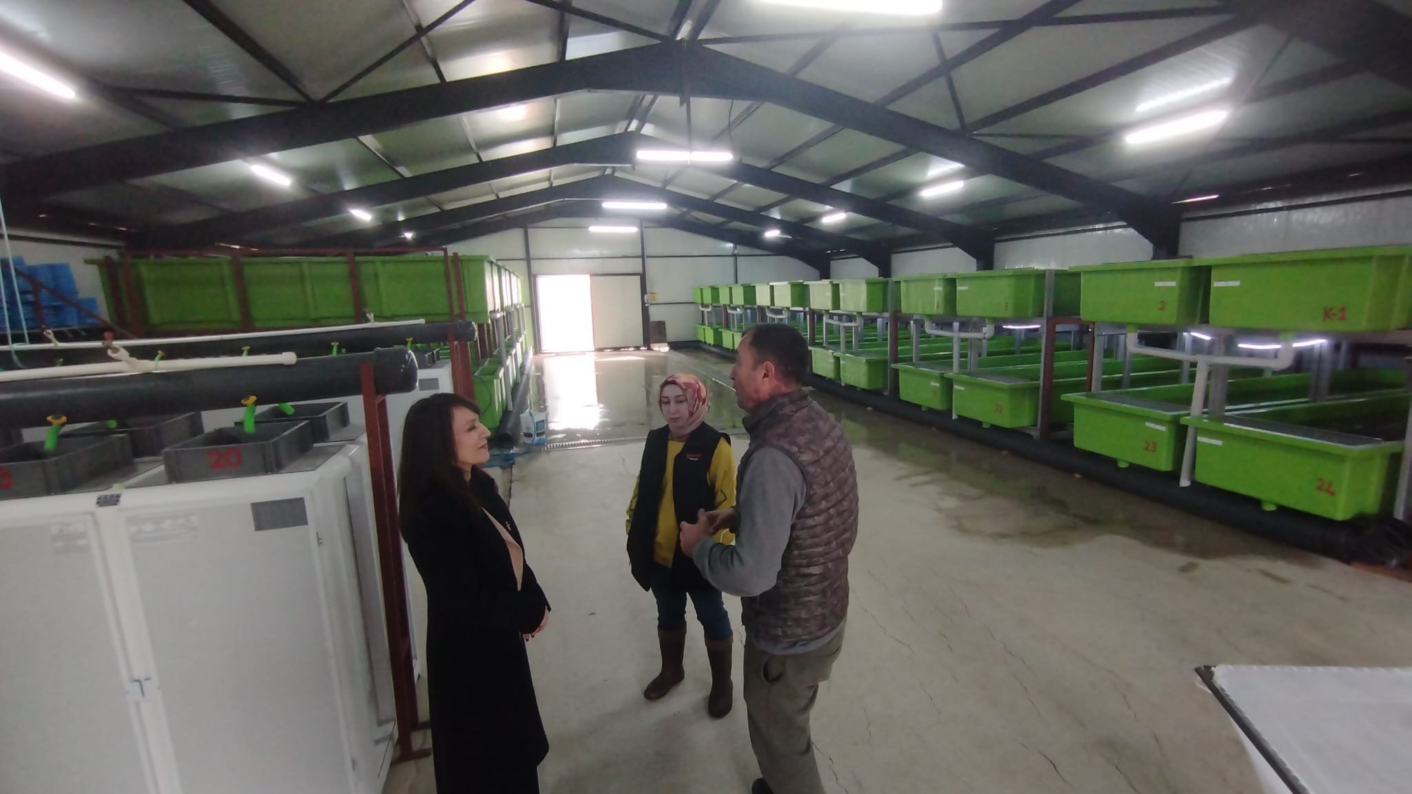 Tercan’da Alabalık Üretimine Sıkı Denetim