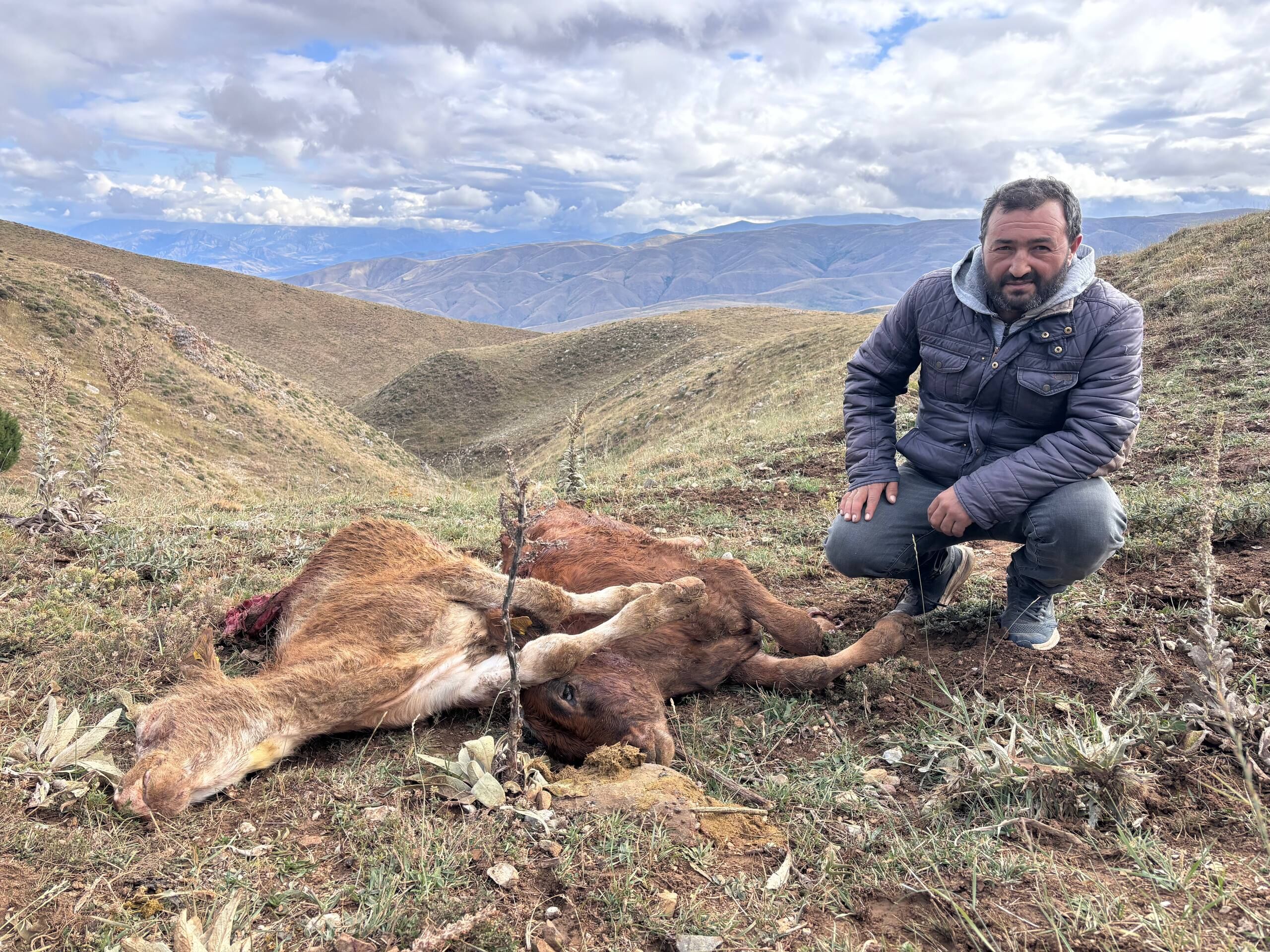 Erzincan