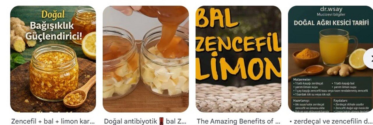Bagisiklik Guclendirici Bal Zencefil Zerdecal Kuru